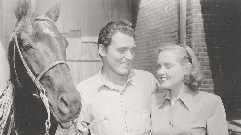 кадр из фильма Black Eagle