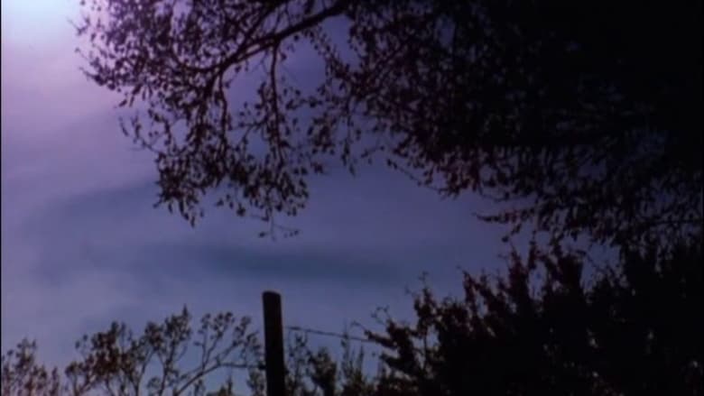 кадр из фильма The Stars Are Beautiful