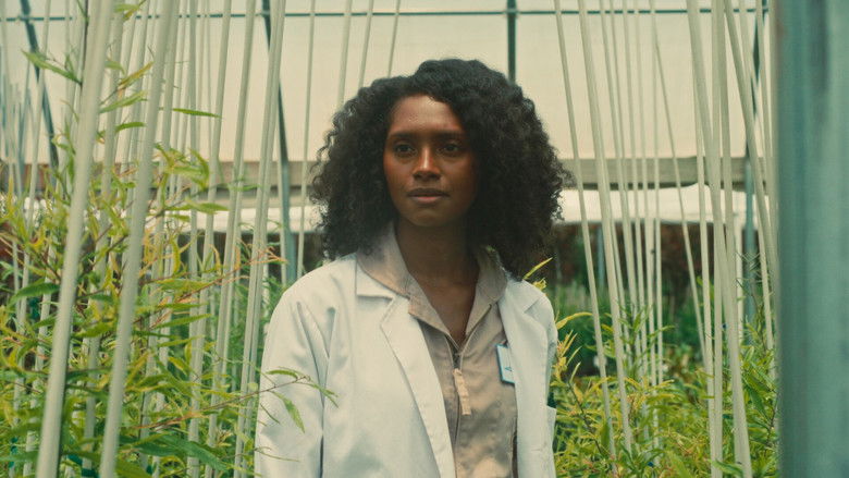 кадр из фильма Alex & MOR: A Love Odyssey