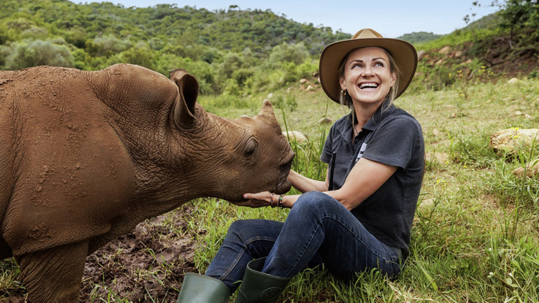 кадр из фильма Wild Life - Rhinos