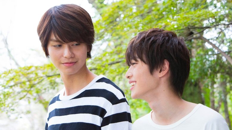 кадр из фильма ひだまりが聴こえる