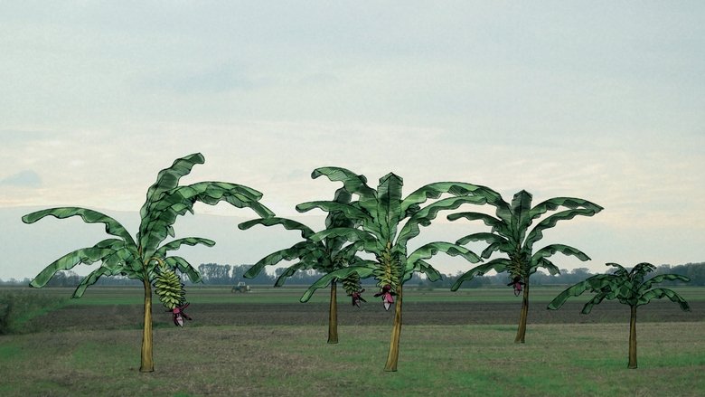 кадр из фильма Von Bananenbäumen träumen