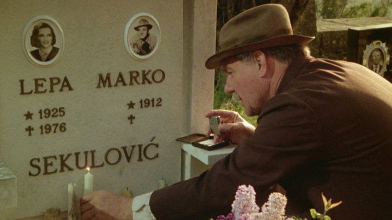 кадр из фильма Сутон