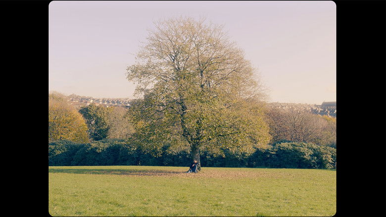 кадр из фильма an inner feeling | Short Film