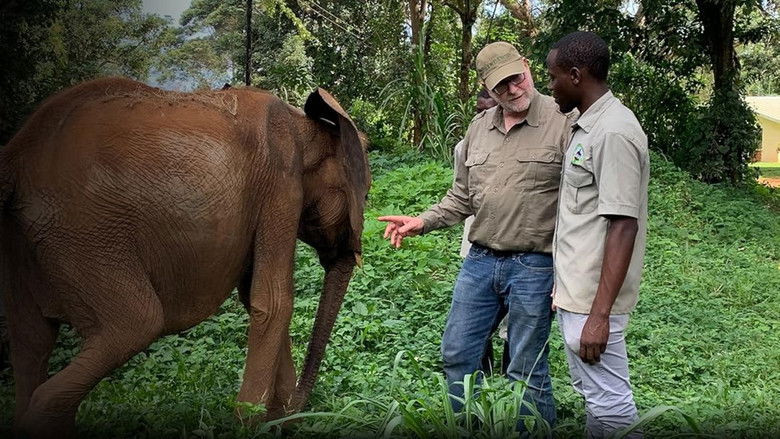 кадр из фильма Hidden Uganda