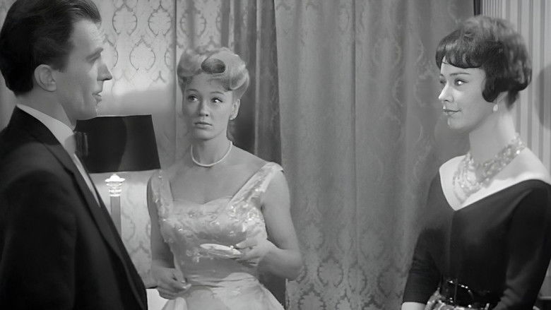 кадр из фильма The Third Alibi