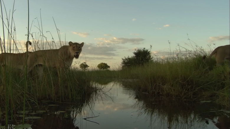 кадр из фильма Pride in Battle