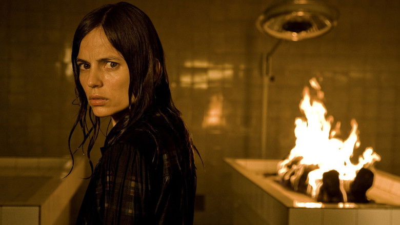 кадр из фильма Скелеты Железного острова