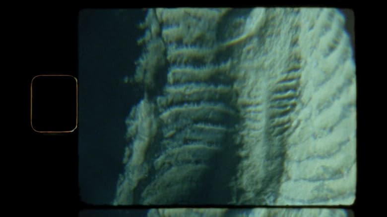 кадр из фильма Teocalli