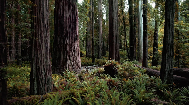 кадр из фильма 'A'-t'i Xwee-ghayt-nish: Still, We Live On