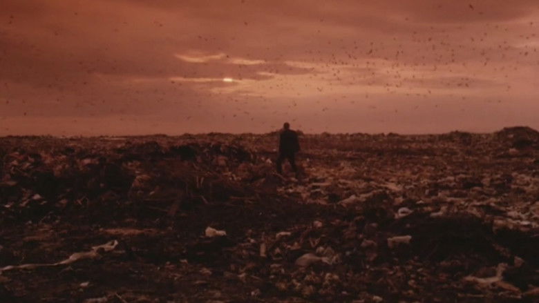 кадр из фильма Посетитель музея