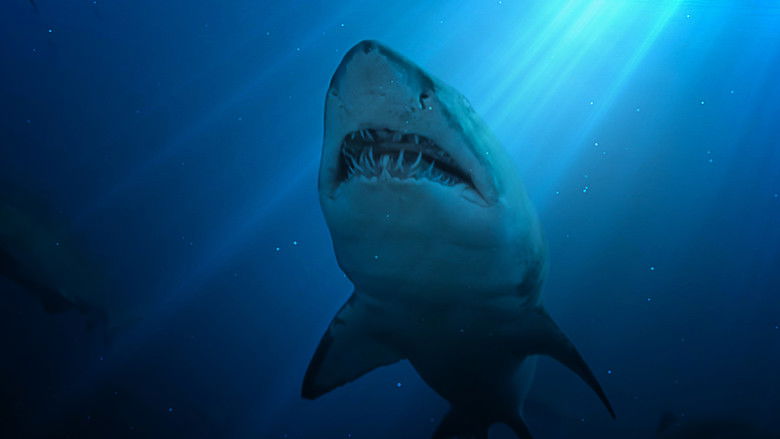 кадр из фильма United Sharks of America