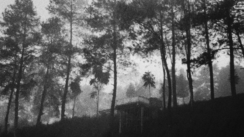 кадр из фильма How Does It Feel to Disappear Completely?