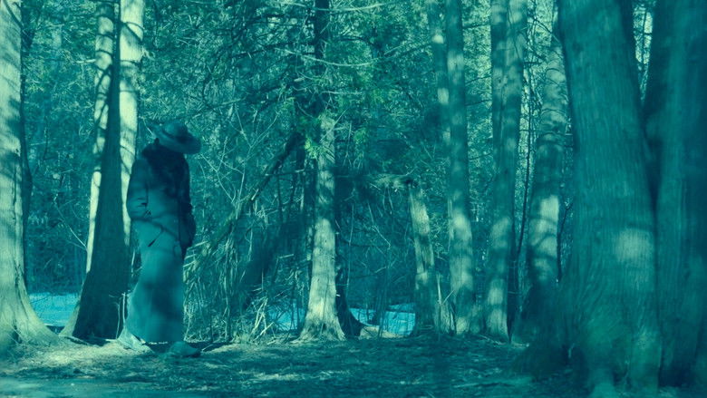 кадр из фильма Cold Days From the Treetops