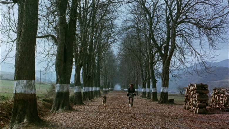 кадр из фильма Юг