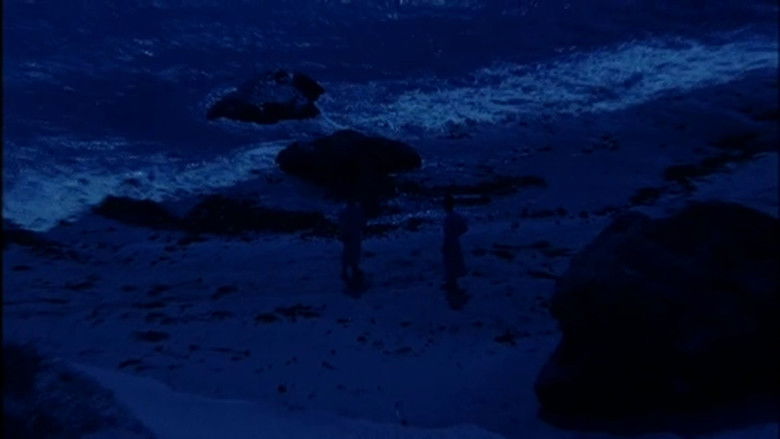 кадр из фильма 君に捧げし命なりせば