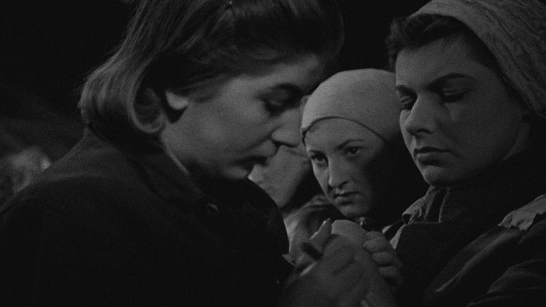 кадр из фильма Последний этап