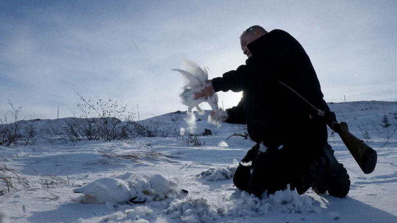 кадр из фильма Matimekush