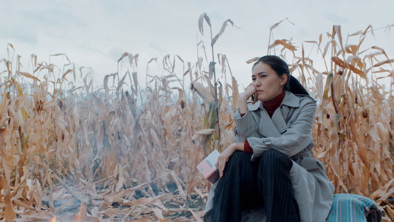 кадр из фильма Черный, черный человек