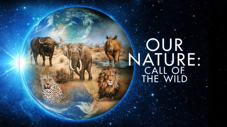 кадр из фильма Жизнь на экваторе