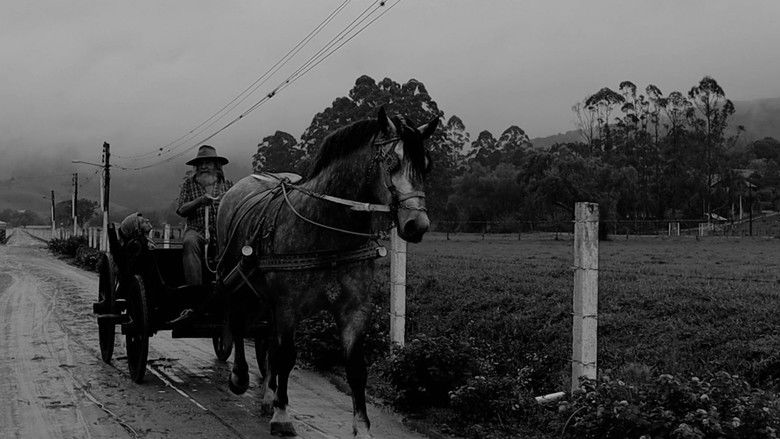 кадр из фильма Aflição