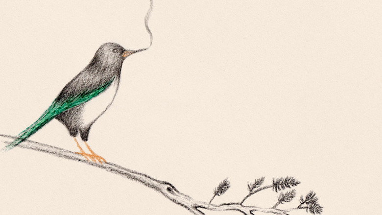 кадр из фильма Papa Chou