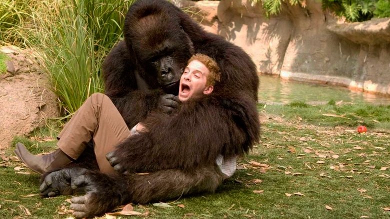 кадр из фильма Так себе каникулы