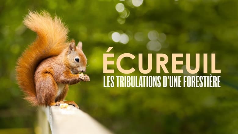 кадр из фильма Écureuil : Les Tribulations d'une forestière