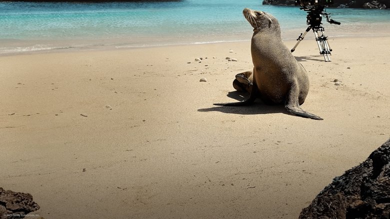 кадр из фильма Guardians of the Galapagos