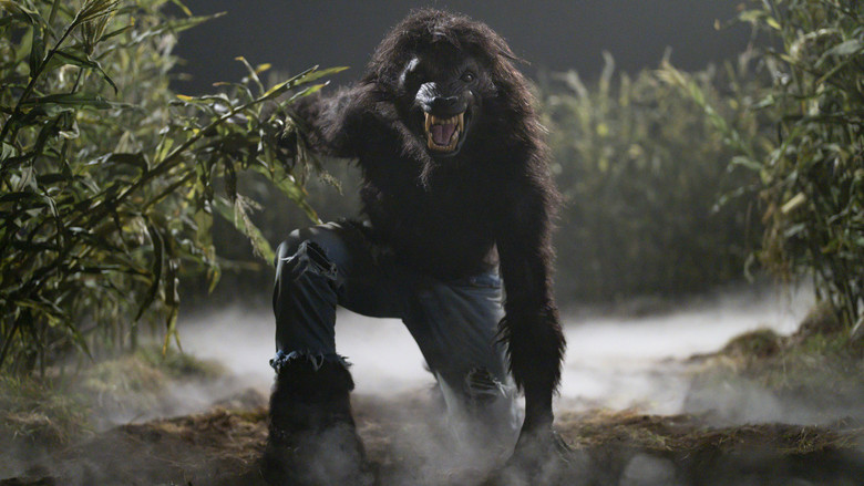 кадр из фильма В тайне 2