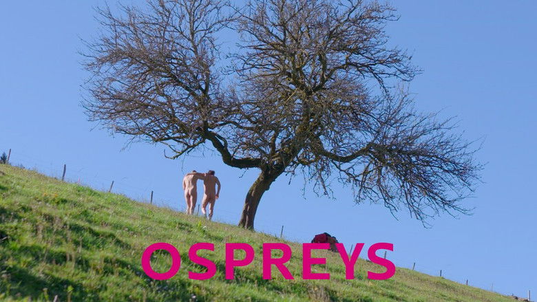 кадр из фильма Balbuzards pêcheurs