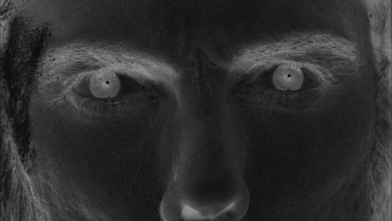 кадр из фильма Devil Doll