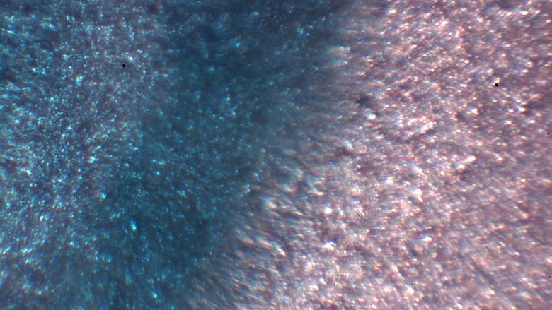 кадр из фильма The Fly of Theseus