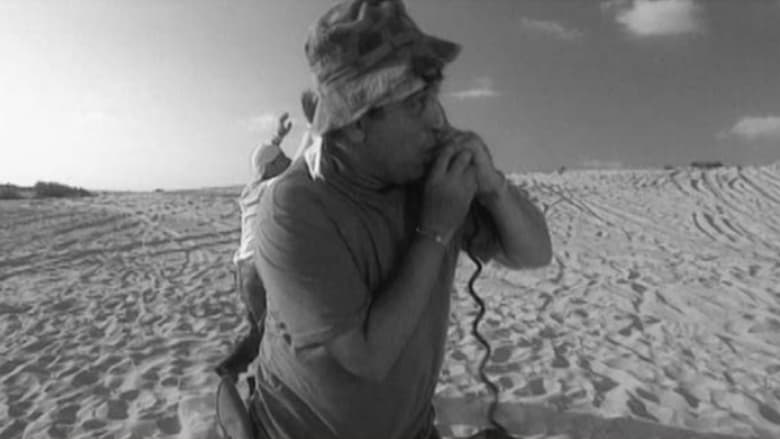 кадр из фильма גנרל שוורצפוט צד נמרים ורודים במדבר סהרה