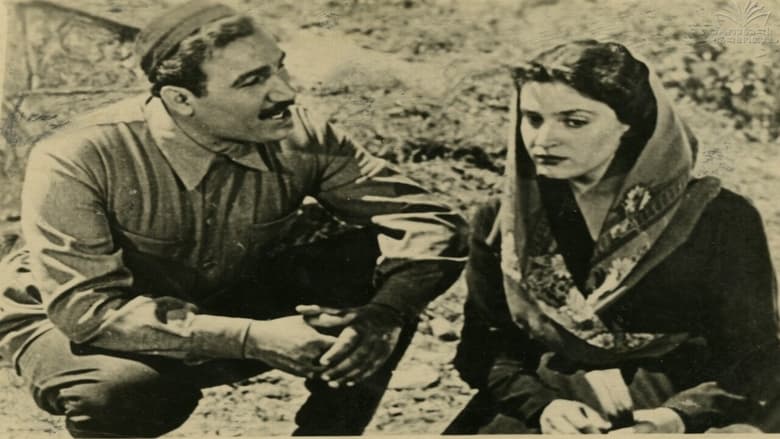 кадр из фильма Тень на дороге