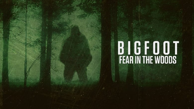 кадр из фильма Bigfoot: Fear in the Woods