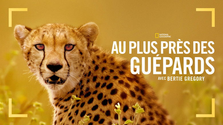 кадр из фильма Гепарды: лицом к лицу с Берти Грегори