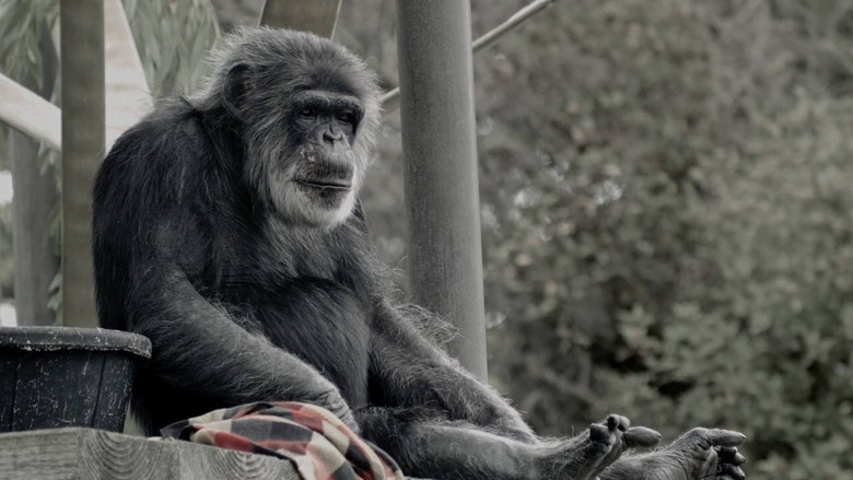 кадр из фильма Cobby: The Other Side of Cute