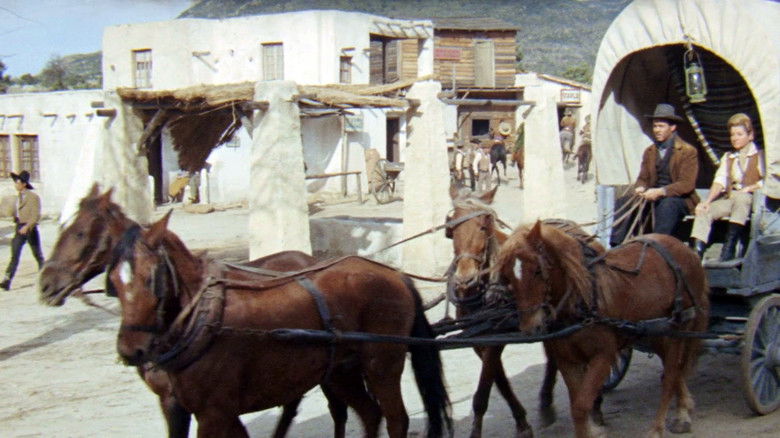 кадр из фильма Всё для всех