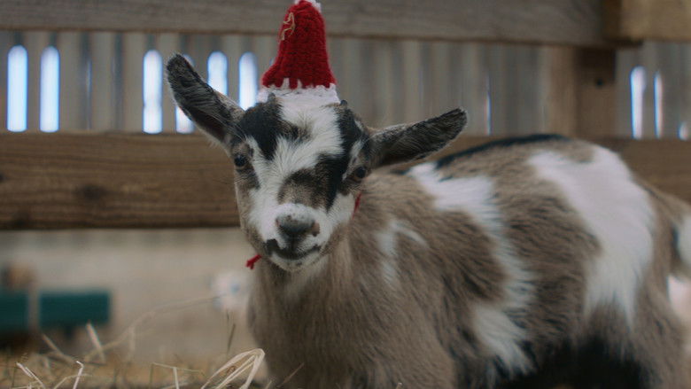 кадр из фильма Пернатое рождество