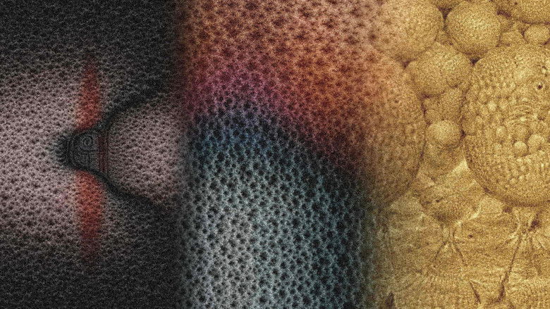 кадр из фильма The Garden of Electric Delights