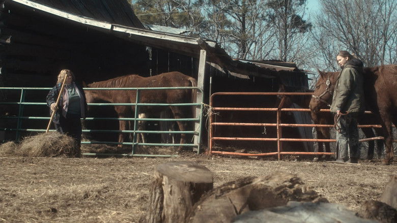 кадр из фильма Зимняя кость