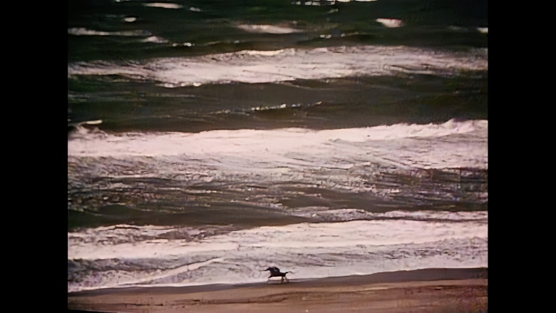 кадр из фильма Медея