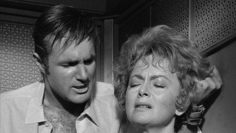 кадр из фильма Lady in a Cage