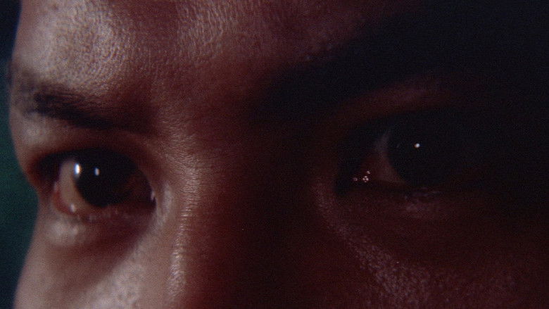 кадр из фильма 野良猫ロック　ワイルドジャンボ