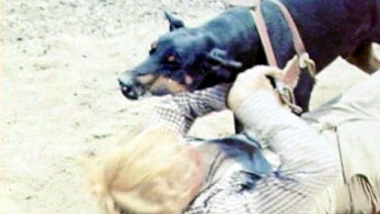 кадр из фильма Блюз злой собаки