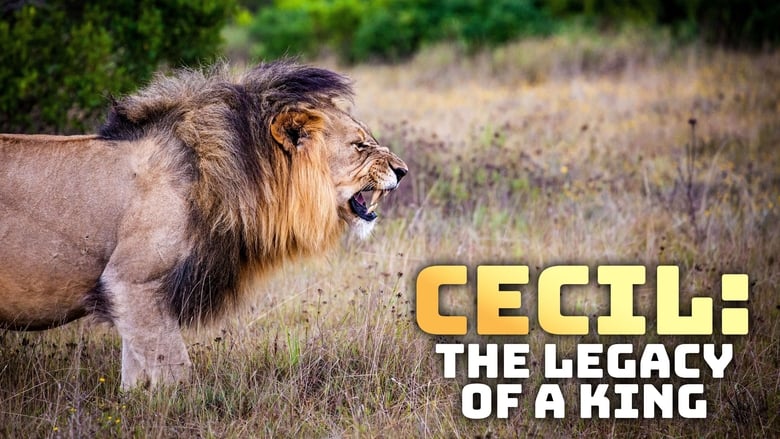 кадр из фильма Cecil: The Legacy of a King