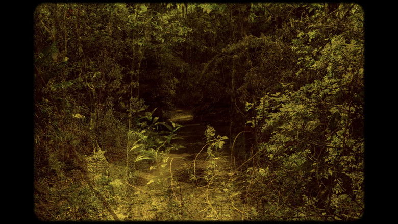 кадр из фильма Onírico