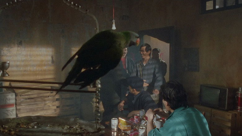 кадр из фильма Она стреляет метко