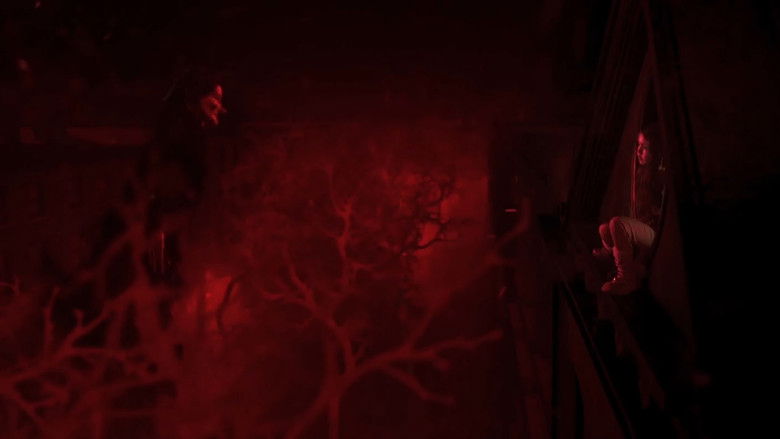 кадр из фильма Разлученные души